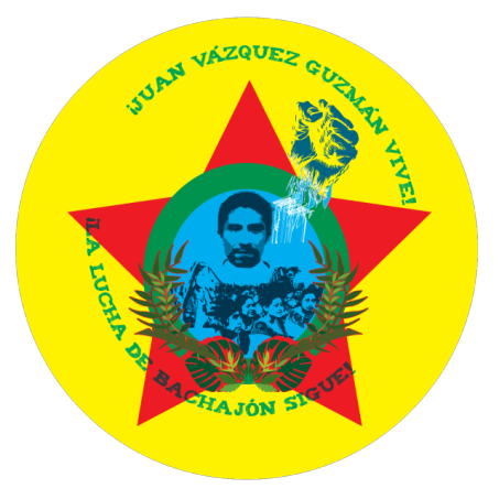 Logo from the Viva Bachajón blog